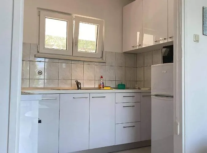 Genesis 特罗吉尔